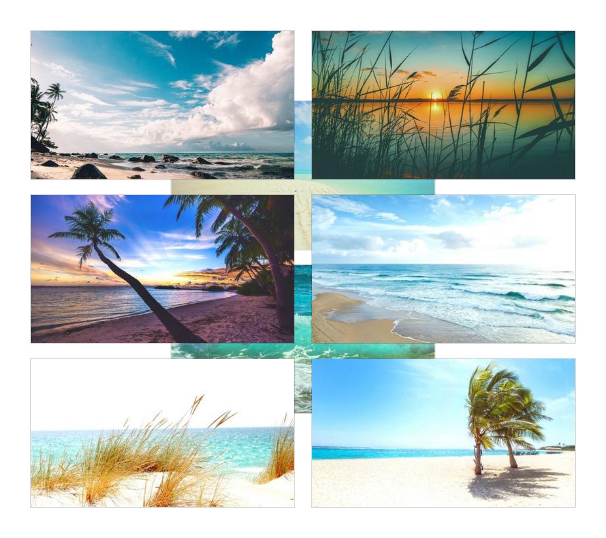 Zoom Backgrounds Ocean Themed