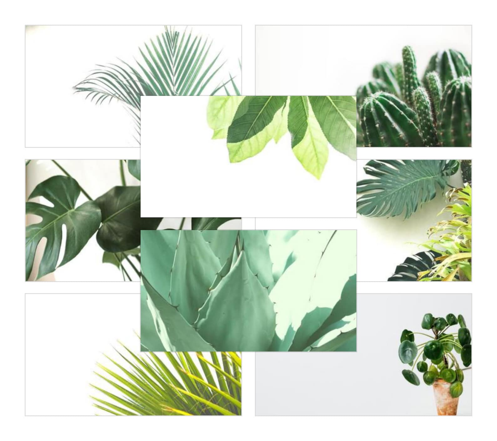Zoom Background Plant Clean Minimal Collection Student - Etsy
