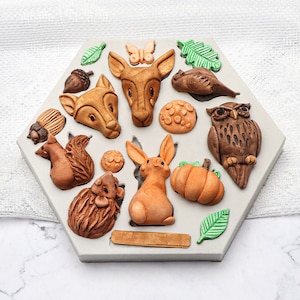 Puede incluir: Un molde de silicona con 12 cavidades para hacer diversas decoraciones con temática de animales del bosque y naturaleza. El molde incluye un ciervo, un zorro, una ardilla, un erizo, un conejo, un búho, una calabaza, una bellota, una mariposa y hojas.