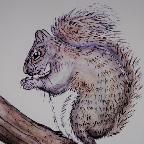 Gray Squirrel, Squirrel Print, Squirrel Painting, Animal Art, Forest Animals, Watercolor Painting