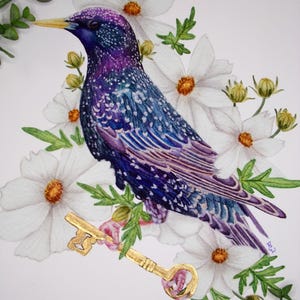 Starling and Cosmos Print, Starling Bird, Flowers, Starling Art, Bird Art, Flower Art, Starling Print, Flower Art Print, Bird Art Print,