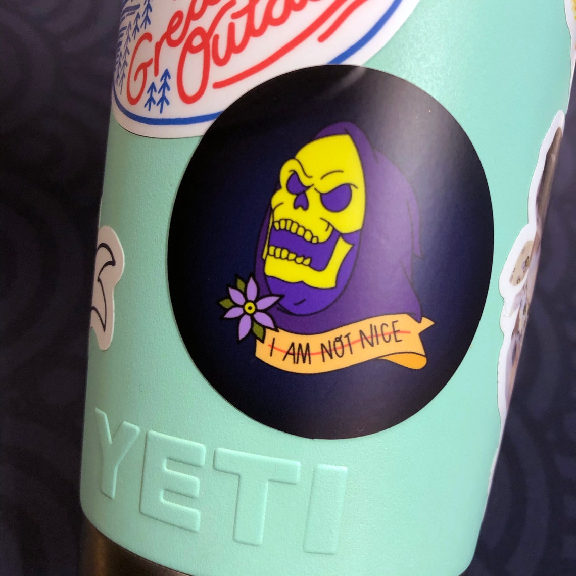 skeletor not nice