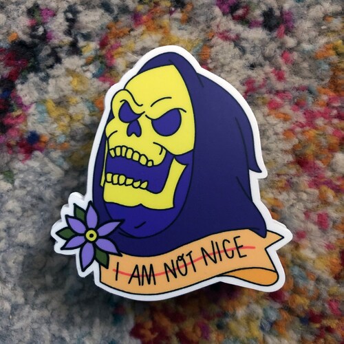 skeletor not nice