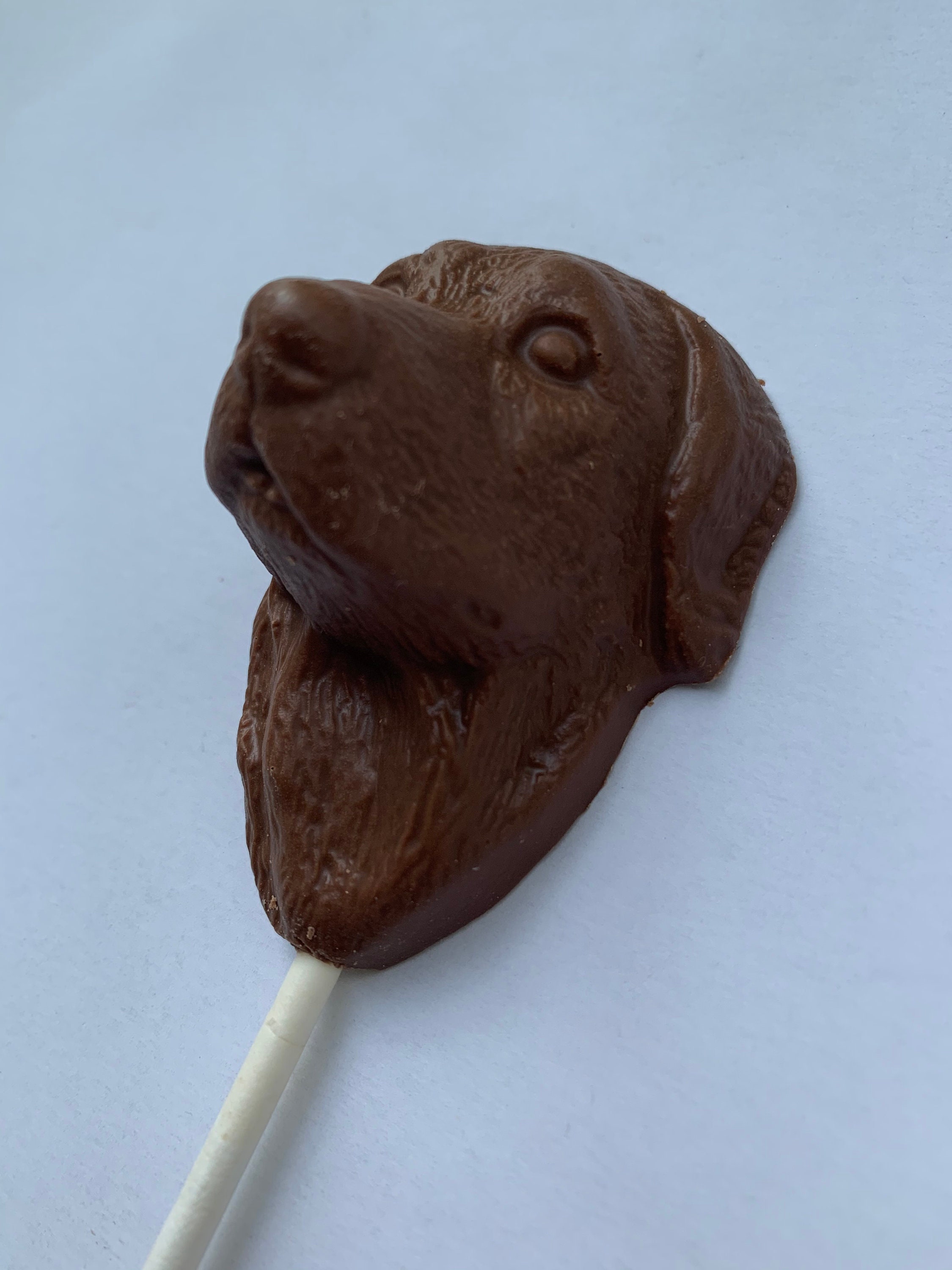 chocolate lab chocolates