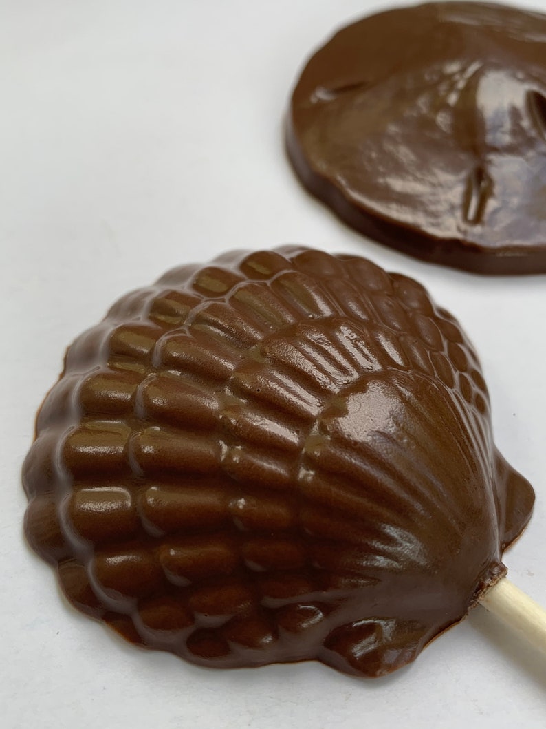 10 Chocolate Sea Shell Mix Chocolate Suckers Chocolate Clam Shell Candy ...
