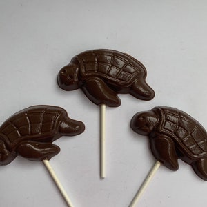 May include: Three chocolate turtle lollipops on sticks. The turtles are brown and have detailed shell markings.