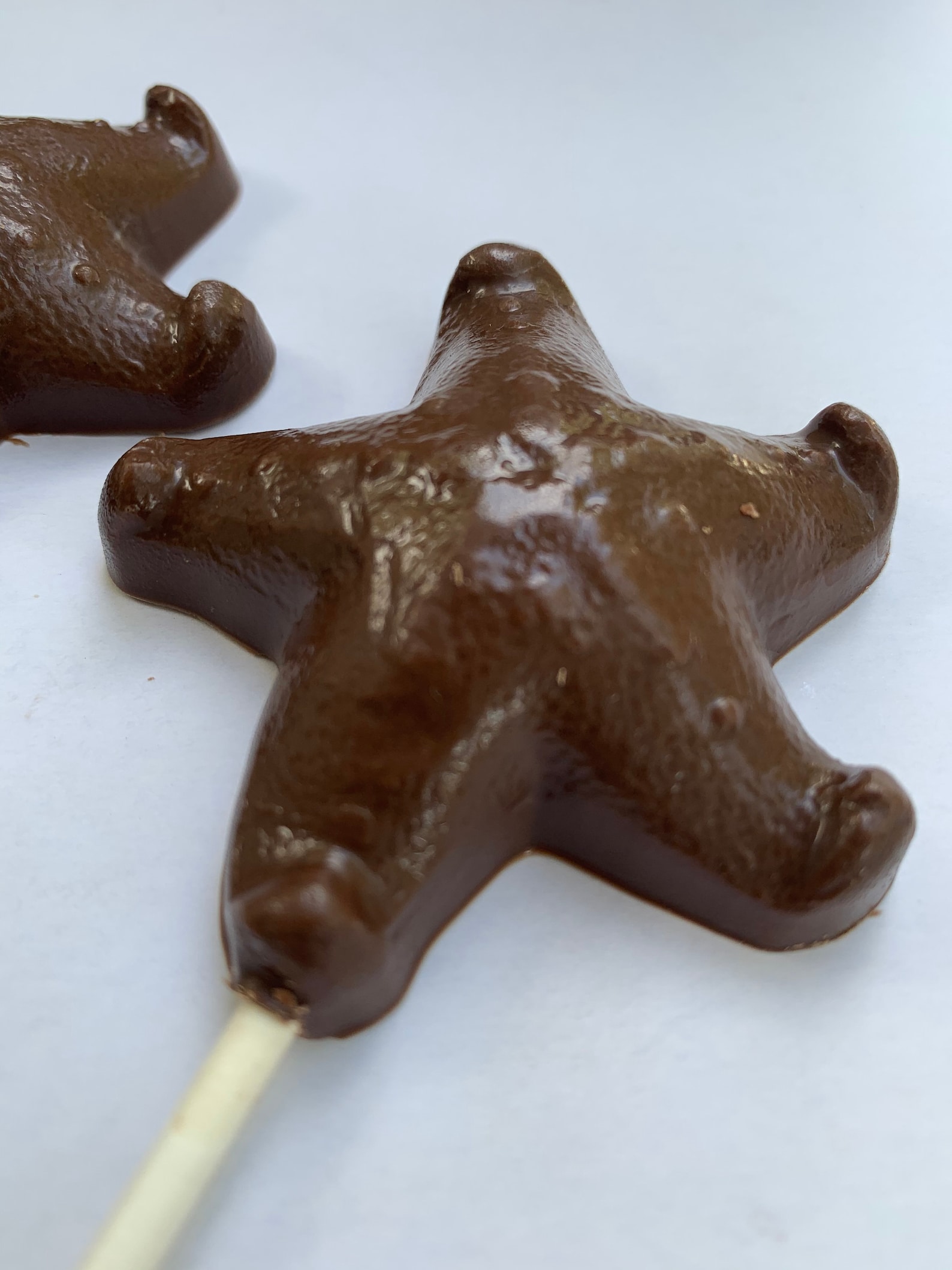 12 Chocolate Starfish chocolate suckers chocolate Starfish Etsy