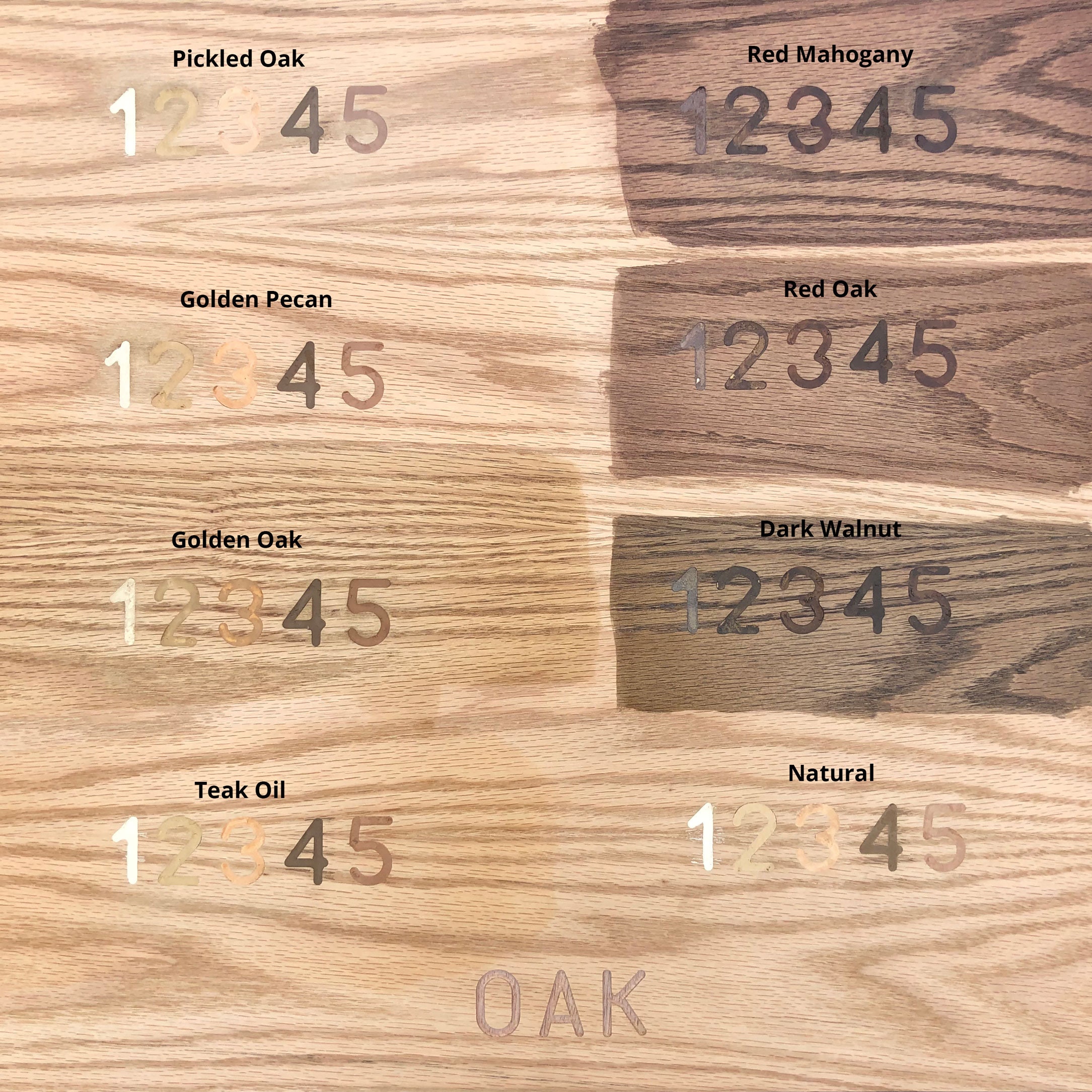 Wooden Bit Box Equine Equipment Equestrian Trunk Horse Etsy