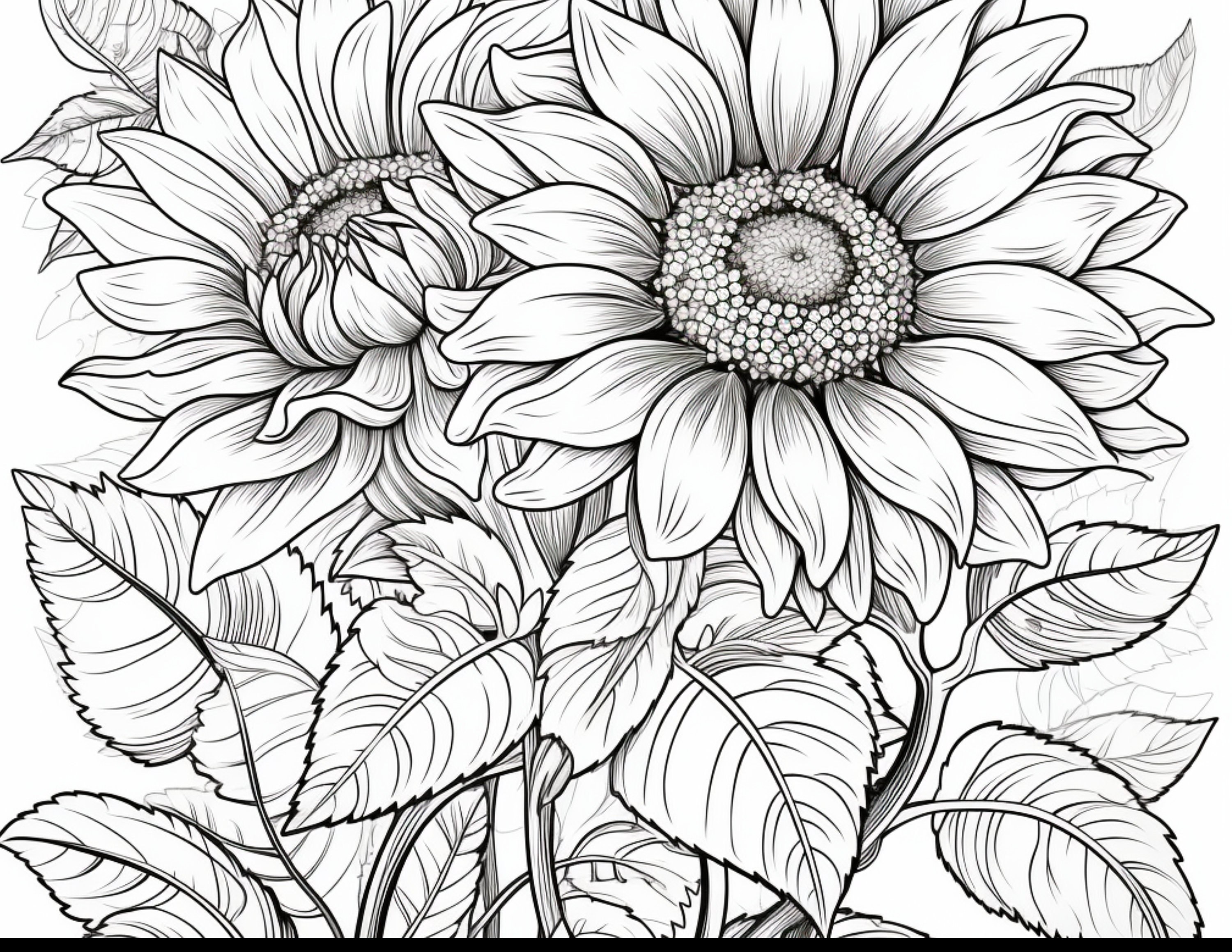 House Plants , Gardens Plant Coloring Pages 20 Printable Pages , Adult ...