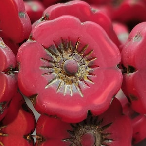 May include: Close-up of several red flower-shaped beads. Each bead has a detailed center with a gold-colored design and a small, raised center. The beads are clustered together, showcasing their vibrant color and intricate details. These beads are ideal for jewelry making.