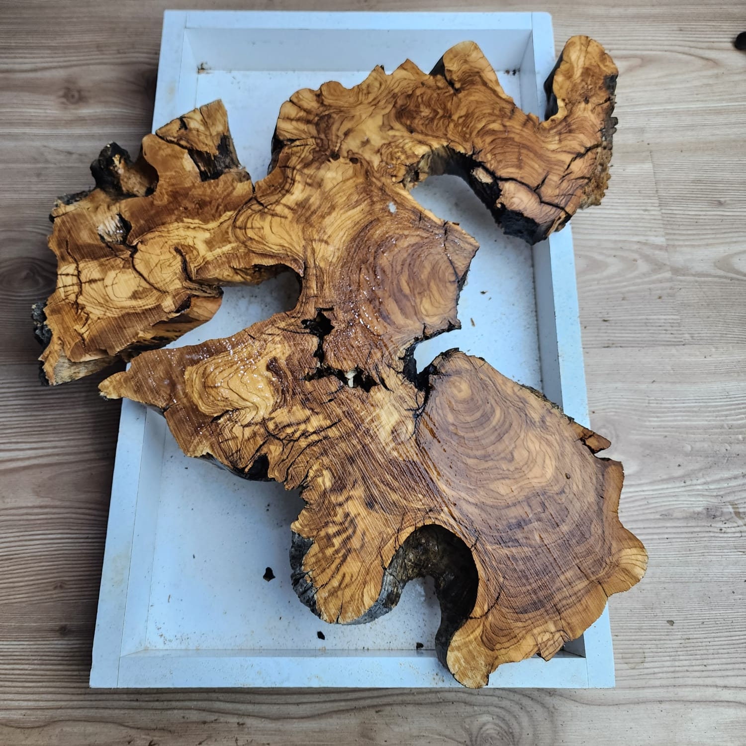 Canada wood carving - Etsy 日本