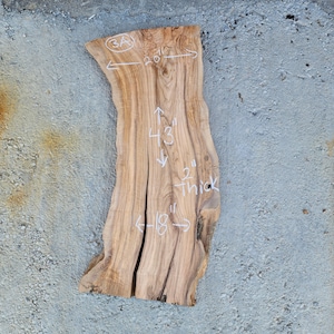 Double live edge slab 3