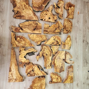 May include: A selection of irregularly shaped, raw wood slabs in shades of light brown and tan. The wood pieces display natural grain patterns and vary in size, arranged on a light wood-grain surface. The pieces appear to be cut from a tree trunk.