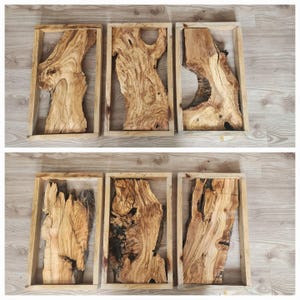 18&quot;x10&quot; Unique olive wood bundle 11