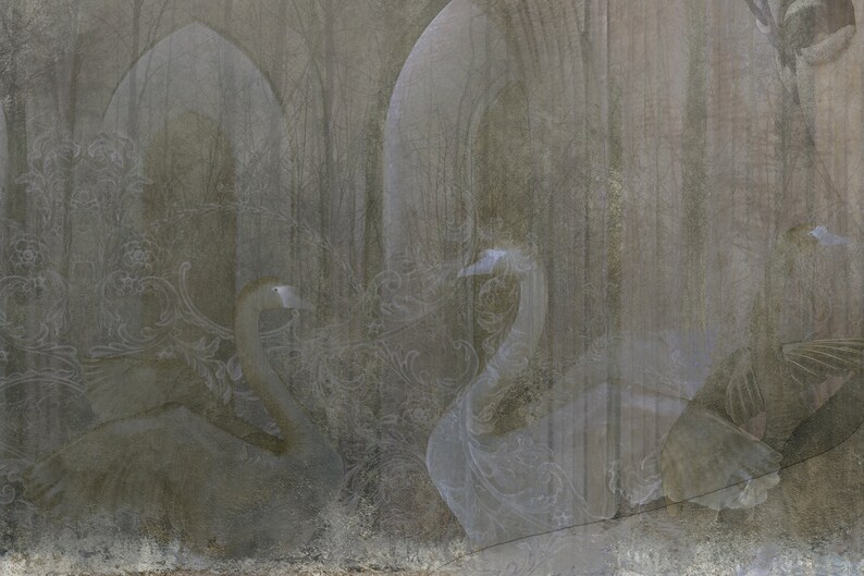 Concrete Roman Bust Wallpaper • Gray and blue tones • Peel and Stick • Wall Mural image 7