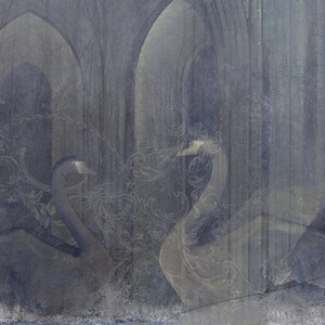 May include: A digital painting of two swans in a gray and white color scheme. The swans are in a gothic-style setting with arches and ornate details. The painting has a dreamy and ethereal feel.