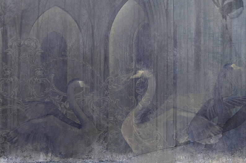 May include: A digital painting of two swans in a gray and white color scheme. The swans are in a gothic-style setting with arches and ornate details. The painting has a dreamy and ethereal feel.
