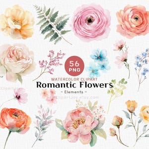 Clipart de peonías y ranúnculos en acuarela: elementos florales románticos PNG para invitaciones de boda de primavera, álbumes de recortes e imprimibles DIY.