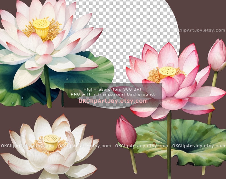 Watercolor Lotus Clipart, Water Lilies, Lotus flower Art, Lotus green leaves PNG, Floral Digital Download, Yoga graphics, Flower invitations