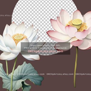 Watercolor Lotus Clipart, Water Lilies, Lotus flower Art, Lotus green leaves PNG, Floral Digital Download, Yoga graphics, Flower invitations