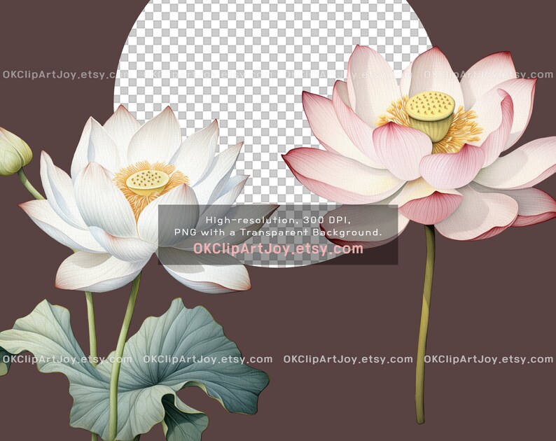 Watercolor Lotus Clipart, Water Lilies, Lotus flower Art, Lotus green leaves PNG, Floral Digital Download, Yoga graphics, Flower invitations