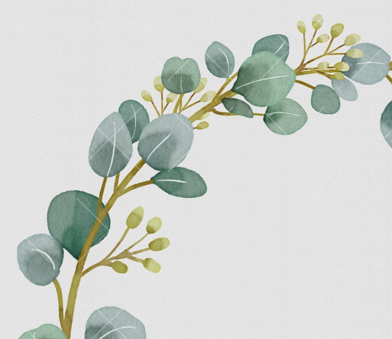 May include: A watercolor illustration of a eucalyptus branch with green leaves and small yellow buds. The branch is curved and the leaves are arranged in a natural, flowing pattern.
