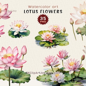 Clipart lotus aquarelle, nénuphars, art fleur de lotus, feuilles de lotus vert PNG, téléchargement numérique floral, graphiques de yoga, faire-part de fleurs
