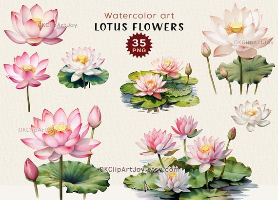 Watercolor Lotus Clipart, Water Lilies, Lotus flower Art, Lotus green leaves PNG, Floral Digital Download, Yoga graphics, Flower invitations