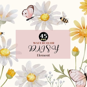 Gänseblümchen Clip Art, Wilde Blumen Clipart, weißes Gänseblümchen PNG, Aquarell Gänseblümchen, Aquarell Frühling, reine Brautblume, Baby Atem Clipart, Boho
