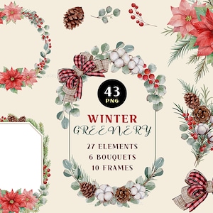 Arreglo navideño, imágenes prediseñadas navideñas en acuarela, tarjeta de Año Nuevo, descarga digital, imágenes prediseñadas florales PNG, vegetación de invierno, Poinsettia png