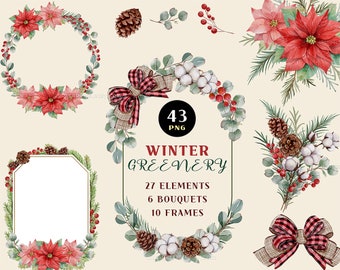 May include: A set of 43 watercolour winter greenery illustrations, including wreaths, frames, bouquets, and individual elements. The illustrations feature red poinsettias, eucalyptus leaves, cotton balls, pine cones, and red berries.