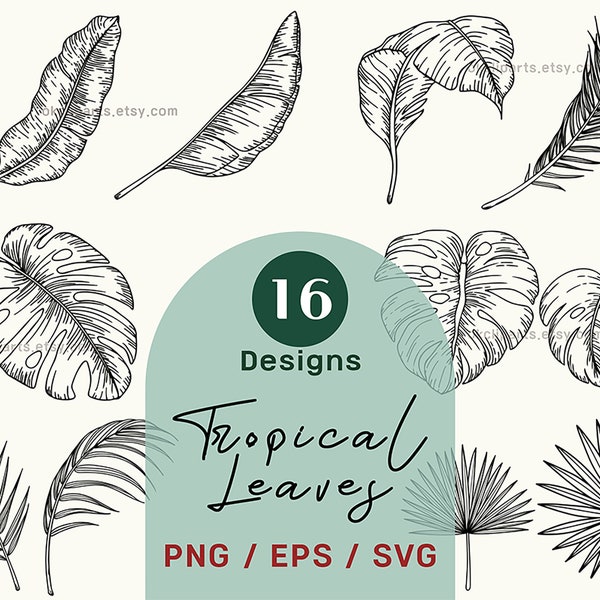 Tropical Leaf, SVG Bundle, Outline Leave, Monstera Leaf, Palm Line Art, Boho Leaf Cut File, Tropical Leaves, Party Decor Clipart, Greenery