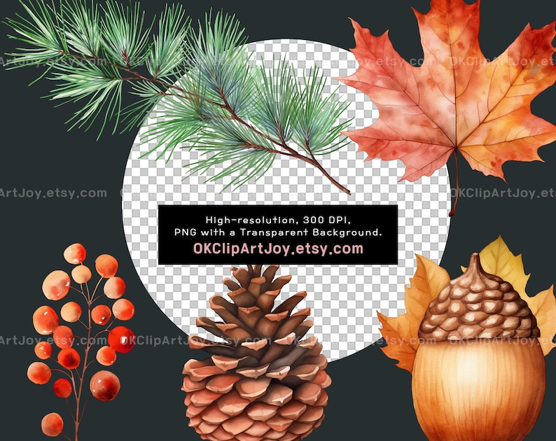 107 PNG Watercolor Fall Leaves Clipart Autumn Leaves Clipart Bundle ...