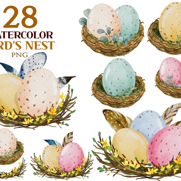Watercolor Spring Clipart, Nest Illustration, Bird's Nest Easter, Artistic Egg Painting, Easter Holiday, Feather Set, Spring Floral Clipart