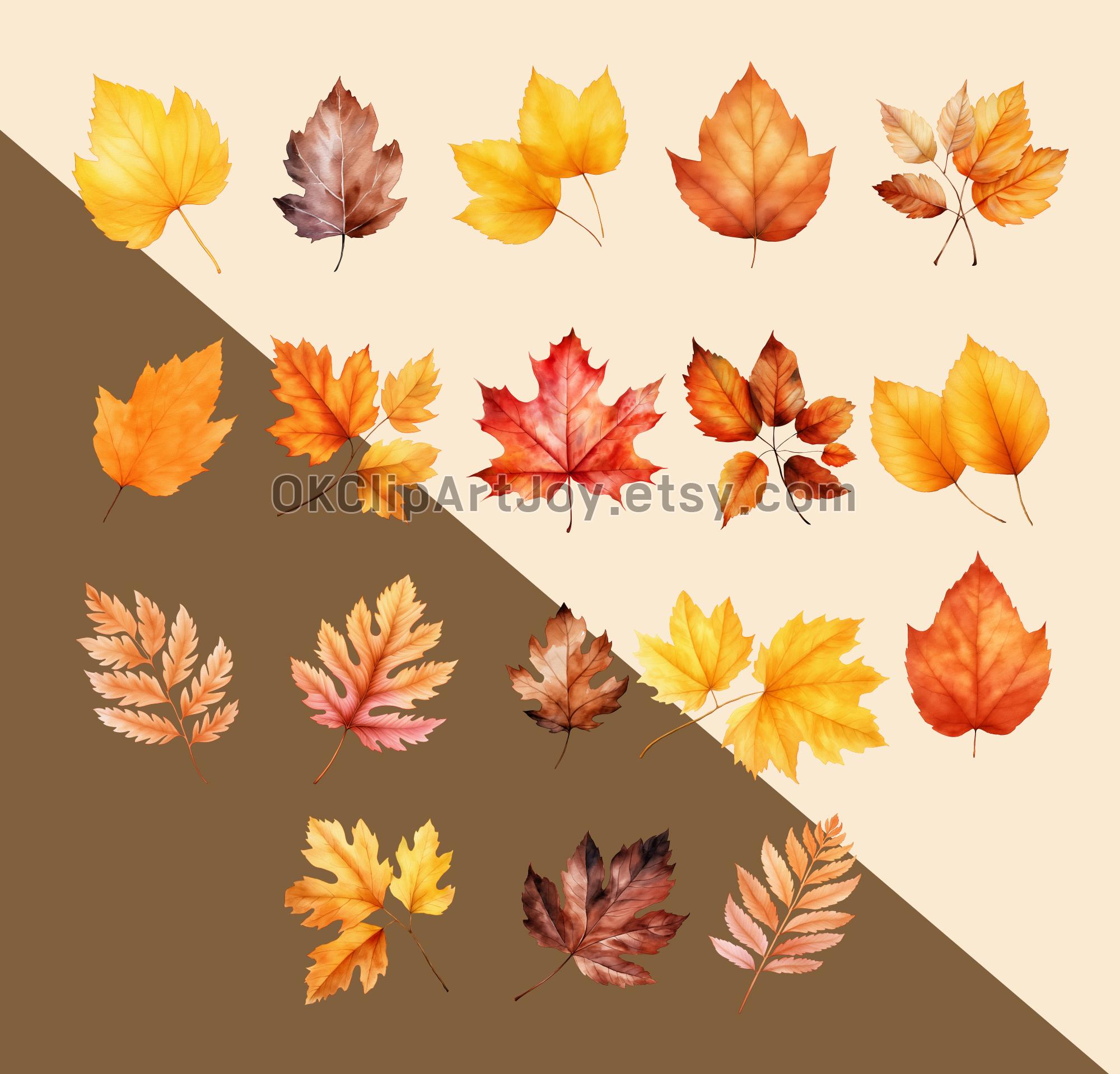 33 PNG Watercolor Fall Leaves Clipart Autumn Leaves Clipart Bundle Fall ...