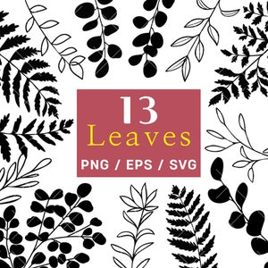 Disegno lineare SVG, Linea arte SVG, Botanico SVG, Clip art botanica, Pianta SVG, Logo foglia, Logo botanico, SVG botanico, Bundle Black Leaf