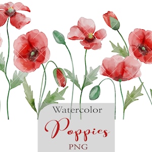 Aquarelle Red Poppies, Flowers Clip Art, Spring Clipart, Wedding Flowers, Invitation Clipart, Boho png, Greeting card, Independence Day