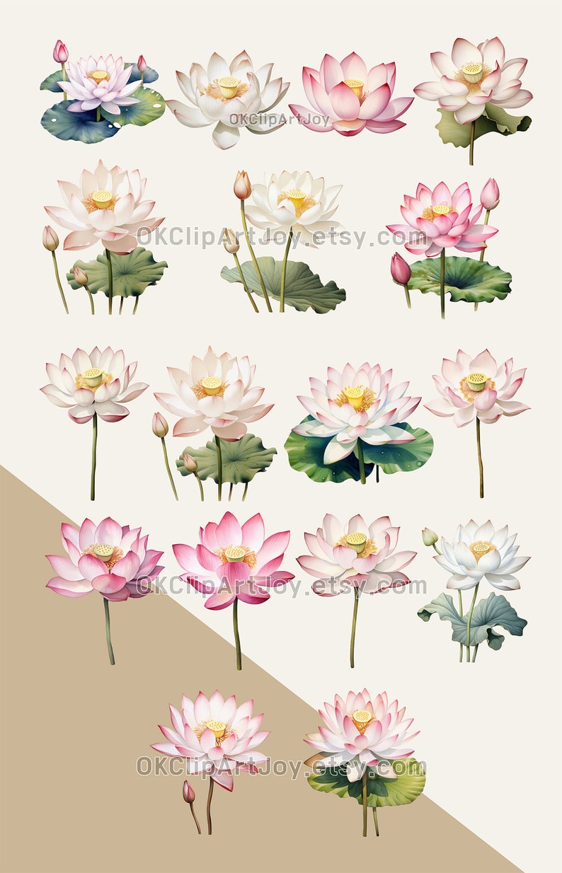 Watercolor Lotus Clipart, Water Lilies, Lotus flower Art, Lotus green leaves PNG, Floral Digital Download, Yoga graphics, Flower invitations