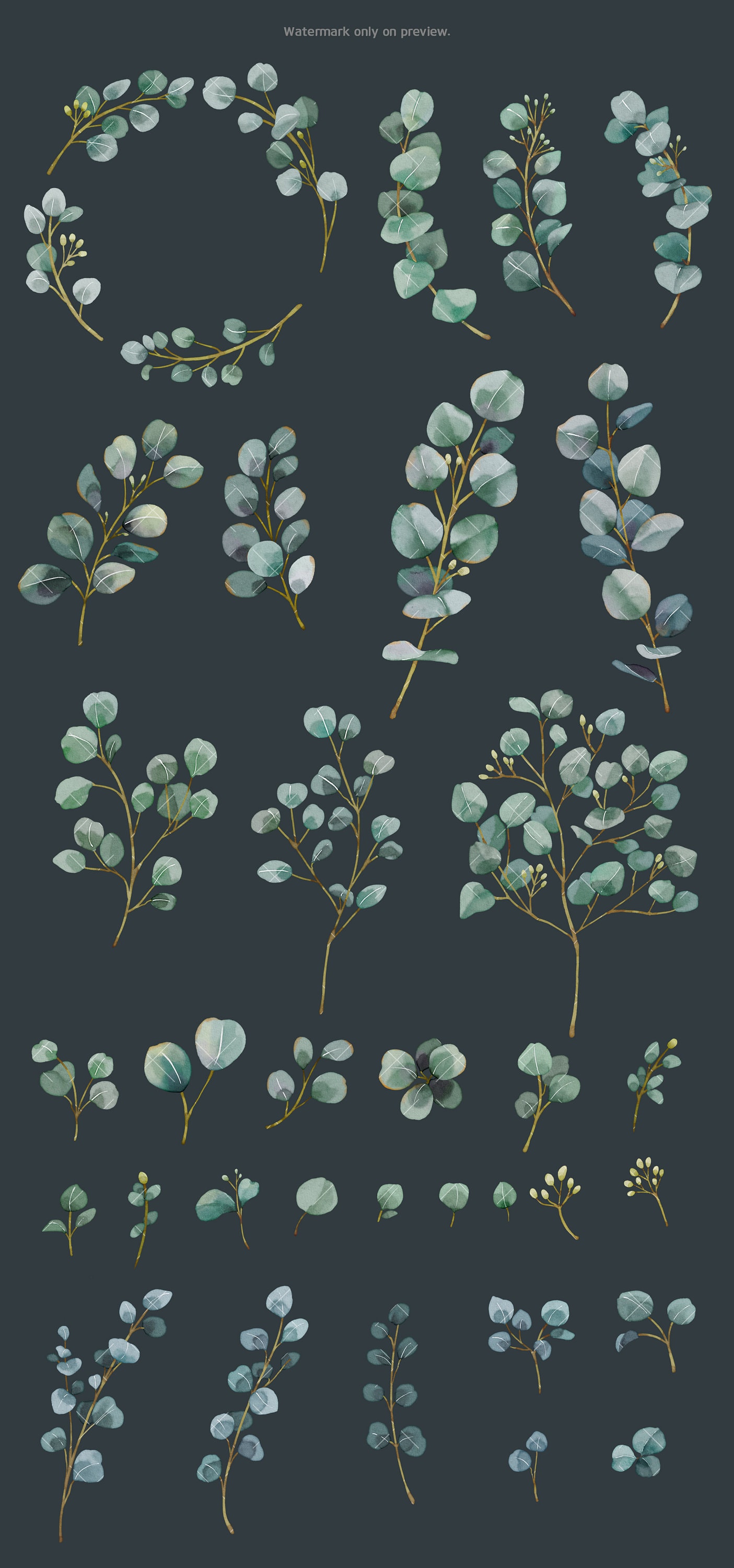 Watercolor Eucalyptus Clipart Baby Blue Greenery Clipart - Etsy