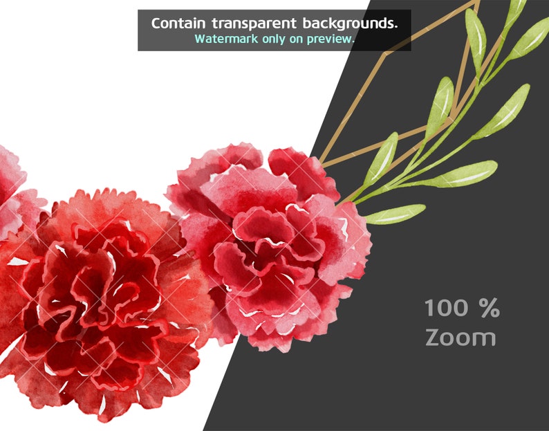 May include: Watercolor illustration of red carnations with green leaves. The flowers are arranged in a semi-circle shape.
