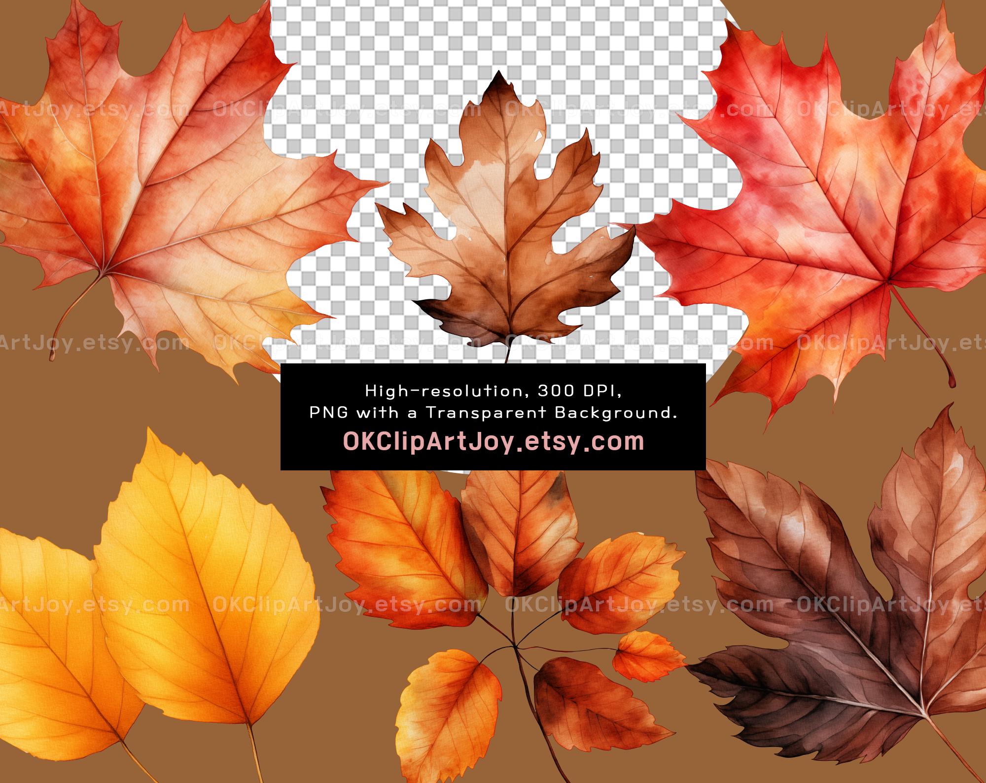 33 PNG Watercolor Fall Leaves Clipart Autumn Leaves Clipart Bundle Fall ...