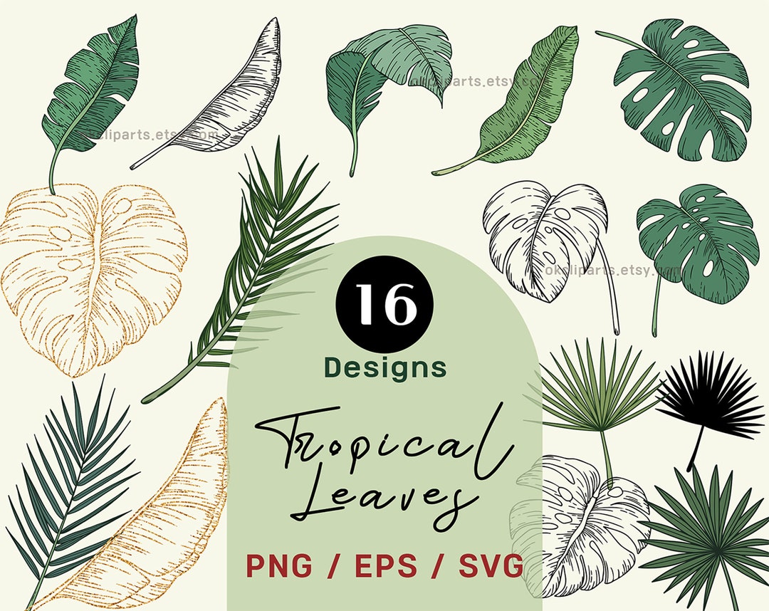 SVG Bundle, Monstera Svg, Tropical Leaves Svg, Tropical Leaf Svg, Palm ...