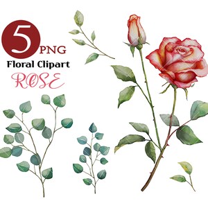Frühling Blumen Clipart, rote Rose Clipart, Eukalyptus Clipart, Aquarell Eukalyptus, Floral Clip Art, Blume Aquarell Clipart, Diy Blume
