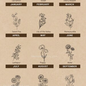 Birth Month Flower, Birth Flower SVG, Poppy Svg, Birthday Svg, Birth Flower Png, Svg Bundle Set, Logo Label Design, Floral Line Art, Birth Flower Clipart, Botanical Svg, Narcissus Flower, Flower Drawing EPS, Digital Plants Stamp