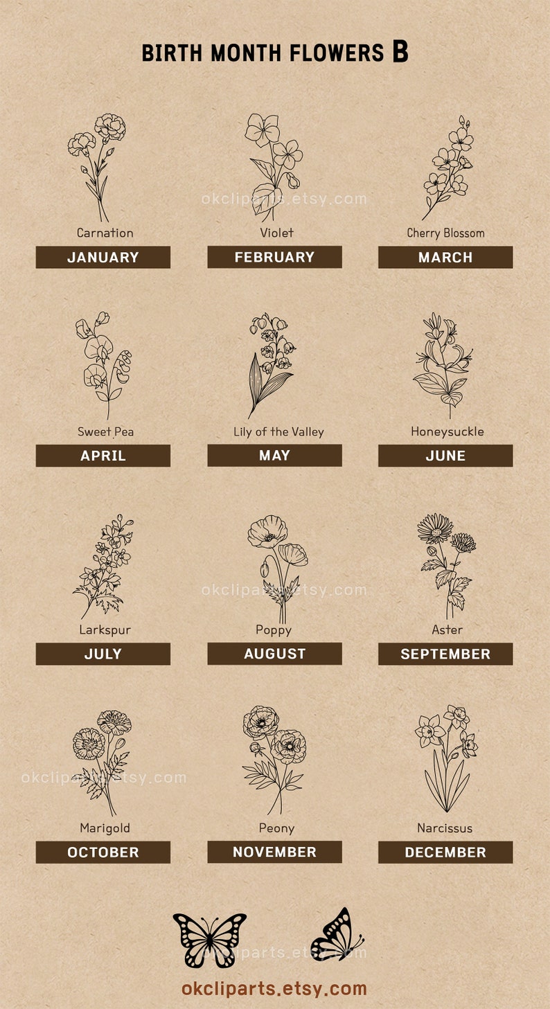 Birth Month Flower, Birth Flower SVG, Poppy Svg, Birthday Svg, Birth Flower Png, Svg Bundle Set, Logo Label Design, Floral Line Art, Birth Flower Clipart, Botanical Svg, Narcissus Flower, Flower Drawing EPS, Digital Plants Stamp