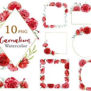 Cadre d’œillet rouge, Fleur de printemps png, Aquarelle Floral Clip Art, Feuilles, Verdure,Clipart de mariage,Bordure en or floral,Invitations,Carte Boho