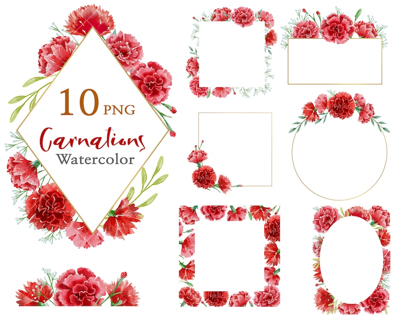May include: Ten watercolor carnation flower PNG images with gold frames. The frames are in different shapes, including square, circle, oval, and diamond. The carnations are red and pink.