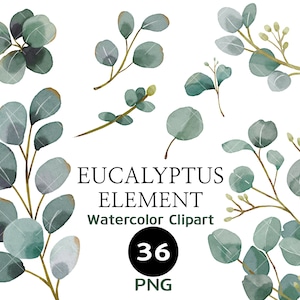 Aquarell Eukalyptus Clipart, Baby Blau Grün, Individuelle Elemente, Boho Greenery, Hochzeitseinladungen, Baby blau, Digital png