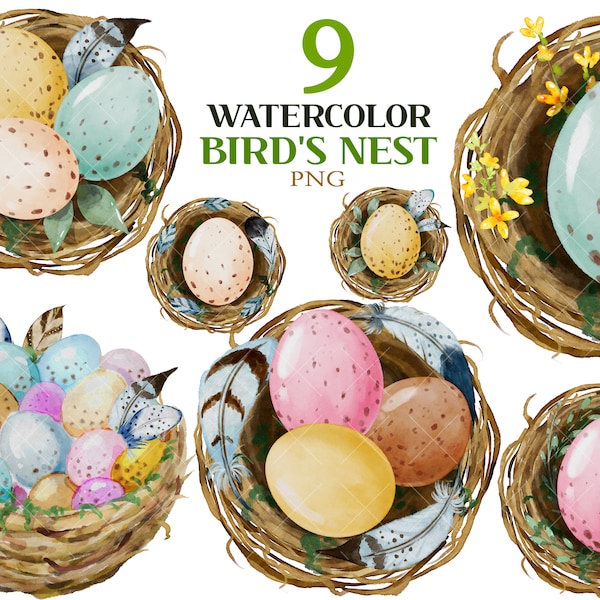 Easter Holiday, Bird's Nest Easter, Boho Spring Clipart, Nest Illustration, Artistic Egg Painting, Feather png, Spring Floral Clipart