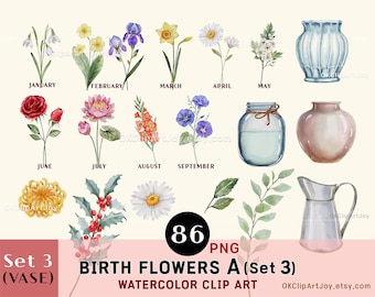 Birth Month Flowers Clipart, Watercolor Floral PNG bundle, Flower Graphic Botanical Clipart DIY Birth Month Flower Print Creator Kit Mothers